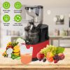 Cold Press Juicer Machine