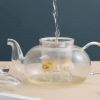 33.8 oz Glass Teapot with Detachable Infuser