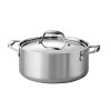 Stainless Steel Dutch Oven with Lid