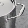 Stainless Steel Dutch Oven with Lid