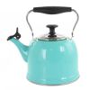 Turquoise Stainless Steel Whistling Teapot Kettle