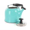 Turquoise Stainless Steel Whistling Teapot Kettle