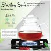 Glass Teapot Tea Kettle for Stove Top